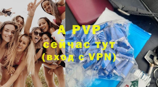 ГАЛЛЮЦИНОГЕННЫЕ ГРИБЫ Верея