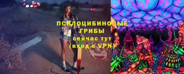 прущие грибы Бородино