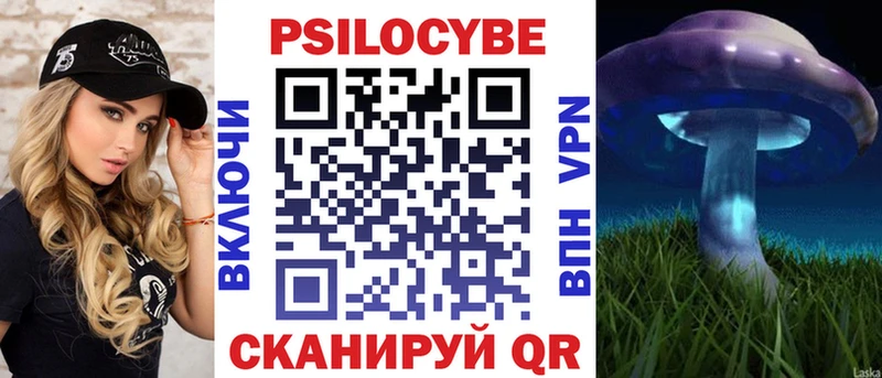 Галлюциногенные грибы Psilocybine cubensis  Элиста 